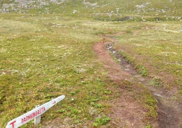 Apartment For Holiday In Nyksund المظهر الخارجي الصورة