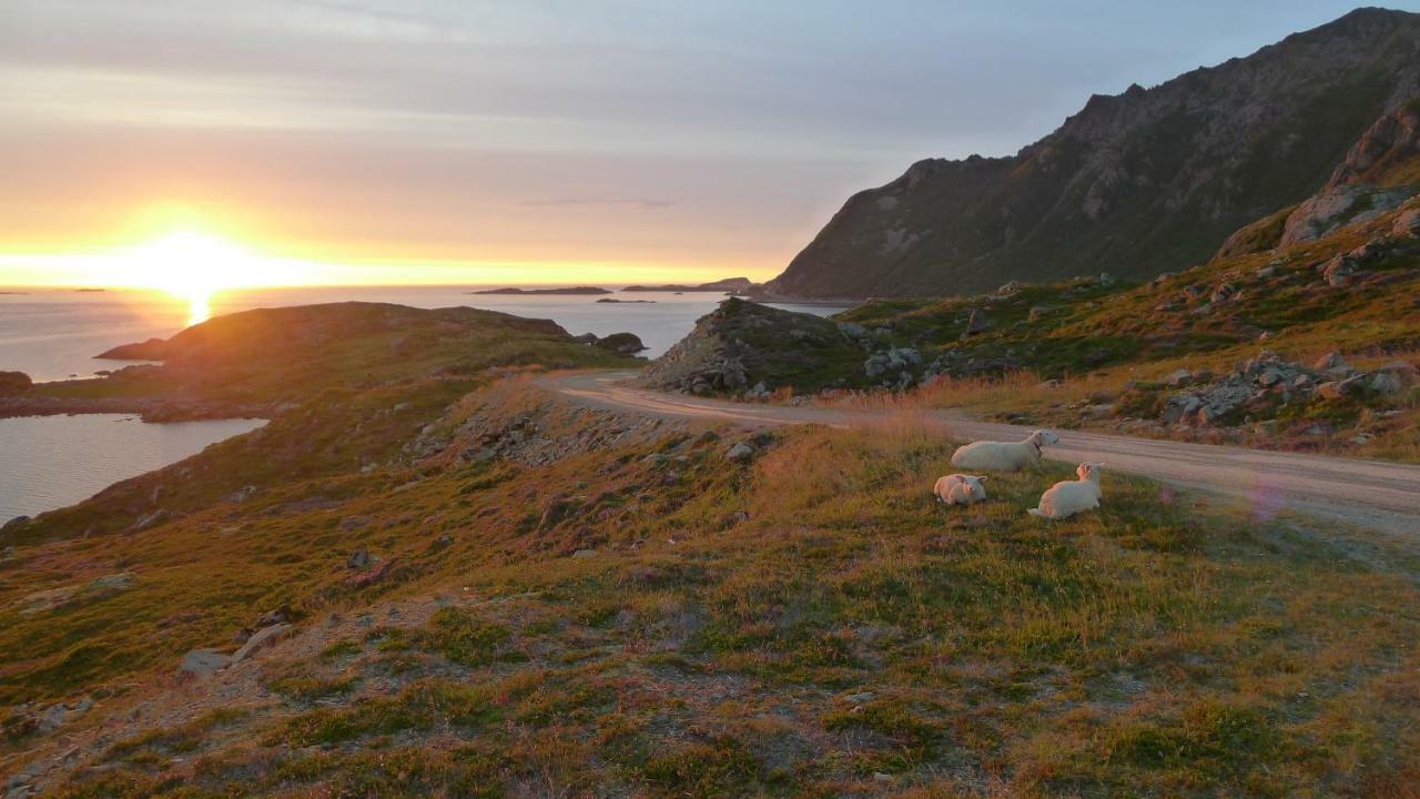 Apartment For Holiday In Nyksund المظهر الخارجي الصورة